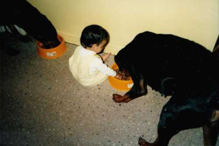 Illustration for article titled When Animals Attract: Your Cuddly Childhood Creatures